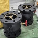 리스체크 이미지