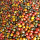 부자농장 이미지