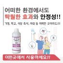 주식회사 거미 이미지