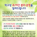 탁구 야간 이미지