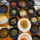 비발디 향기나무 이미지