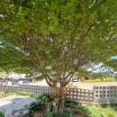 카페누비 이미지