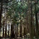 남원킴스 | 1월 겨울 제주 여행 후기(코스/날씨/맛집/추천장소 등등)