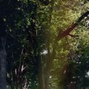 죽전체육공원 이미지