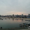 일산수산물판매센터 네이버블로그