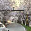 중앙(여)경로당 이미지