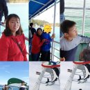 청보리오토캠핑장