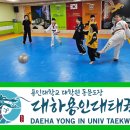 용인대석사 대하 태권도 이미지