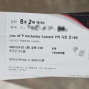 롯데콘서트홀 P의 거짓 오케스트라 콘서트 후기 Lies of P Orchestra Concert