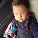 자매농장 이미지