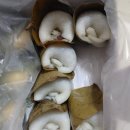 태백부동산공인중개사사무소 이미지