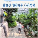 노원 아이랑 가볼만한 곳 불암산 힐링타운 나비정원 체험존 주차 꿀팁