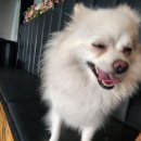 개스타하우스 이미지