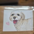 서구-3 | 인천 서구 애견호텔 2박 3일 호텔링 후기 두 번째 이야기