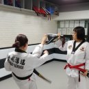 금강 태권도장 이미지