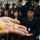 영춘약국 이미지