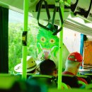 버스정류장 07-164 | 포르투 근교로 떠나보자! 아베이루 (Aveiro)와 코스타 노바 (Costa Nova)로 떠나는 당일치기 여행 part.2