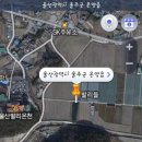 새골못 Daum카페