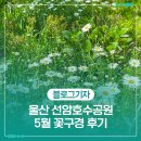 선암호수공원 꽃창포쉼터 화장실 | 봄날 걷기 좋은 울산 선암호수공원 5월 꽃구경 후기