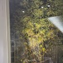 초담 | (울산맛집) 추운날 생각나는 미역전골 삼산 초담미역전골 재방문후기