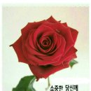 멋진하루 이미지