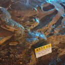 태백영프라자 이미지