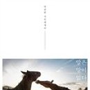 탐라중학교 이미지