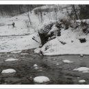 항골농장 이미지