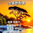 선호 - 정선군 고한9길 34 | 선호