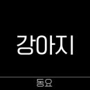 MR.멍멍 네이버블로그