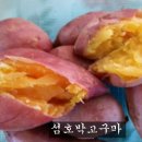 명희수입 Daum카페