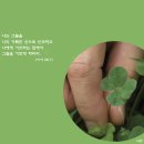 참사랑 이미지