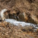 쇠죽골천 이미지