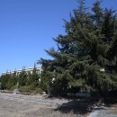 금산중앙초등학교 이미지