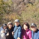 늘벗목장 이미지