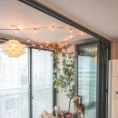 세동한신 이미지