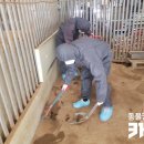 달봉이네 이미지