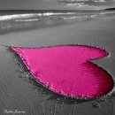 8월 8일 화요일 간추린뉴스 이미지