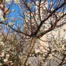 21C한일병원 이미지