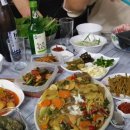 태순농장 Daum카페