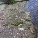 대전리약수터 이미지