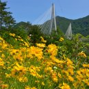 하도 해변 이미지