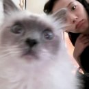 호텔앙띠브 이미지