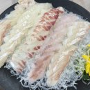 대포대게사랑 | 속초 대포항 신해불이횟집 아이랑 가기 좋은 대게맛집 A세트 솔직후기 주차 픽드랍 총정리