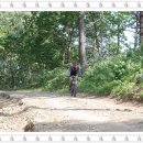 가리왕산목장 이미지