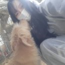 보미농장 | [버킷리스트 실천] 유기견보호소 봉사활동 후기