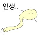 향토추어탕 이미지