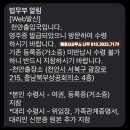 행정사사무소 나무 이미지