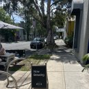 MECCA | 시드니 알렉산드리아 근처 현지인 카페 'mecca coffee' 간단 후기