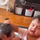 머리끄댕이 이미지